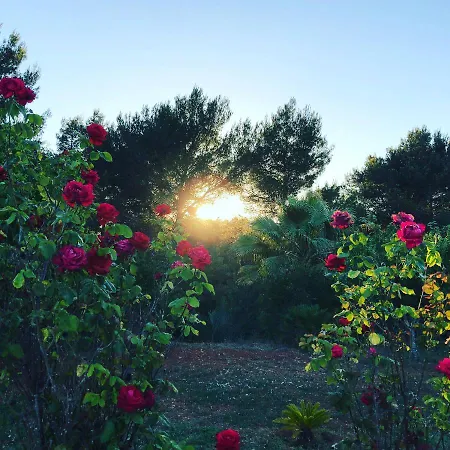 Vila Toni Miqueli Santa Gertrudis (Ibiza)